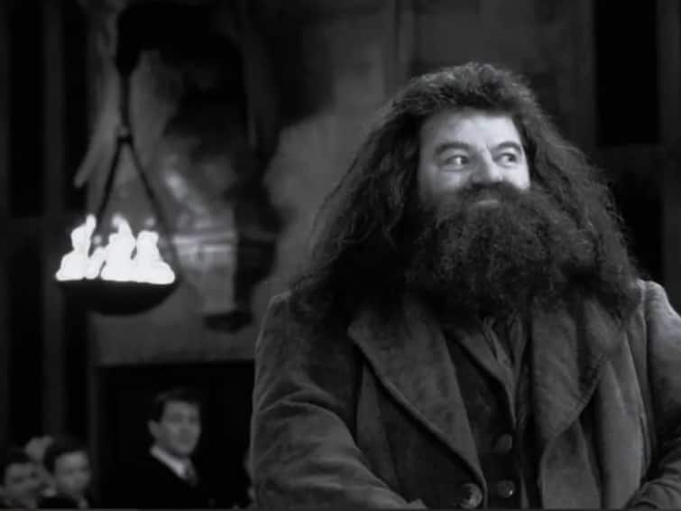 Robbie Coltrane Actor Famous For Portraying Hagrid In Harry Potter Series Dies At The Age Of 72 Robbie Coltrane Dies: 'জাদু জগতের' মায়া কাটিয়ে চিরবিদায় হ্যাগ্রিড চরিত্রাভিনেতা রবি কোলট্রেনের
