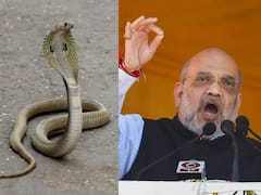 Amit Shah: అమిత్‌షా ఇంట్లో పాము, పరుగులు పెట్టిన భద్రతా సిబ్బంది