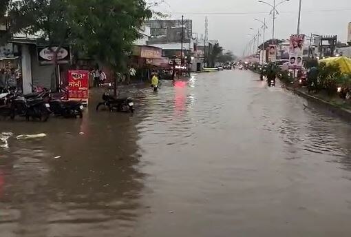 Maharashtra Rain : राज्याच्या विविध भागात मुसळधार पाऊस, सोयाबीनसह कापसाचं मोठं नुकसान 