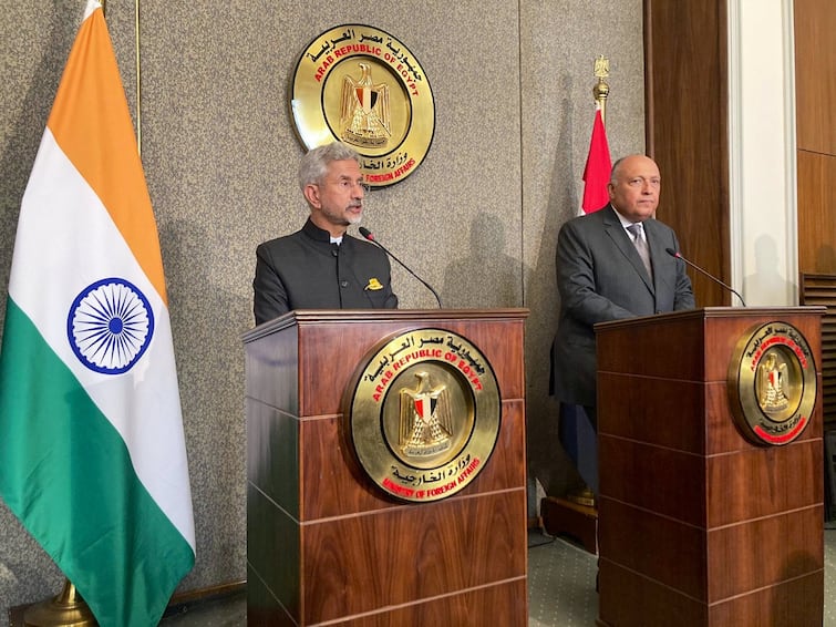 'Exchanged Views On Ukraine Conflict, Indo-Pacific': EAM Jaishankar On His Meeting With Egyptian FM Sameh Shoukry 'Exchanged Views On Ukraine Conflict, Indo-Pacific': EAM Jaishankar On His Meeting With Egyptian FM Sameh Shoukry