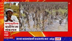 Monsoon Return Rain Special Report : परतीच्या पावसाचा राज्यभरातील शेतीला फटका