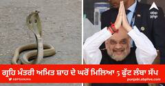 ਗ੍ਰਹਿ ਮੰਤਰੀ ਅਮਿਤ ਸ਼ਾਹ ਦੇ ਘਰੋਂ ਮਿਲਿਆ 5 ਫੁੱਟ ਲੰਬਾ ਸੱਪ