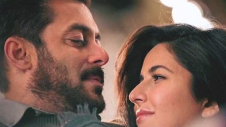 কিন্তু রণবীরের সঙ্গেও সম্পর্ক টেকেনি ক্যাটরিনার। তার পর সলমনের বাড়িতে ক্যাটরিনার আনাগোনা বাড়লেও, শেষমেশ ভিকির সঙ্গেই সংসার পেতেছেন তিনি। তার পরেও সলমনের সঙ্গে অভিনয় করছেন ক্যাটরিনা।
