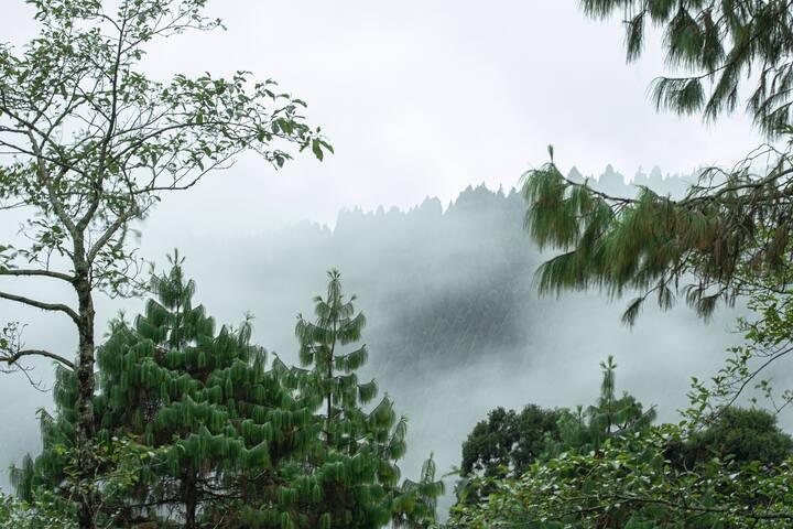 ২০ অক্টোবর নাগাদ এই ঘূর্ণাবর্ত নিম্নচাপে পরিণত হবে। তারপর টানা ধারাপাত হতে পারে।