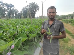 सूरजपुर में बेमौसम बरसात से किसान चिंतित, फसलें बर्बाद होने से सताने लगा कर्ज का डर