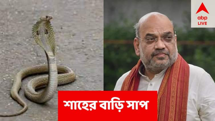 Amit Shah News 5-feet long Asiatic water snake found at Home Minister Amit Shah's residence Snake At Amit Shah's residence: অমিত শাহের বাড়িতে ৫ ফুটের সাপ, ত্রস্ত নিরাপত্তাকর্মীরা, তারপর...