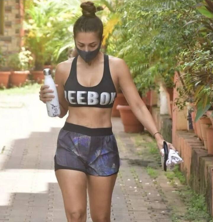 મલાઈકા અર્જુન કપૂરને ડેટ કરી રહી છે. બંને ઘણી વખત સાથે જોવા મળે છે. બંનેની તસવીરો પણ વાયરલ થાય છે.