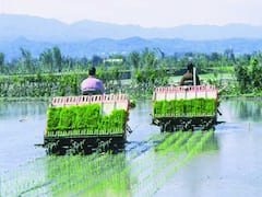 धान रोपाई की ऑटोमैटिक मशीन पर 50% की सब्सिडी, 2 लाख 25 हजार तक अनुदान देगी सरकार