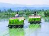 Automatic Paddy Transplanter: धान रोपाई की मशीन पर 50% की सब्सिडी,  2 लाख 25 हजार तक अनुदान देगी सरकार