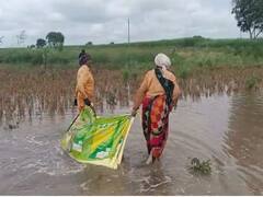 मराठवाड्याला परतीच्या पावसाचा फटका, शेतातच झाला सोयाबीनचा चिखल, शेतकरी संकटात