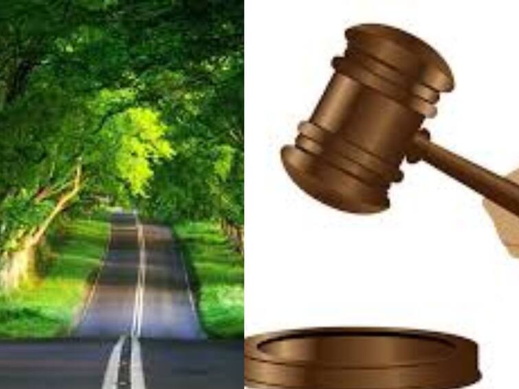 Madurai High Court: Collector should send a circular within 8 weeks to ensure that the works are carried out without affecting the trees standing on the roadsides during highway related works மரங்களை பாதிக்காதவாறு சாலைப் பணிகளை மேற்கொள்ள வேண்டும் - உயர் நீதிமன்றம் மதுரைக் கிளை