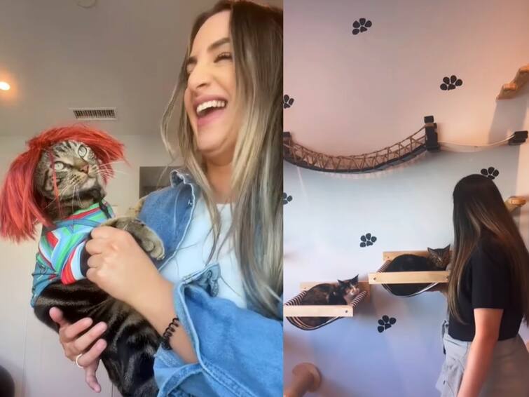 cat parent woman posting all cute videos of her cats in their instagram page videos goes viral Watch Video: ’நோ’ சொல்லும் செல்லப்பூனை.... பூனைகளின் தாயாக வலம் வரும் பெண்... குறும்பான இன்ஸ்டா பக்கம்!