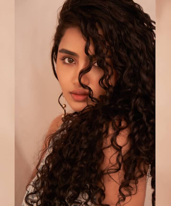 అనుపమా పరమేశ్వరన్ ఫోటోలు -Image Credit: Anupama Prameswaran /Instagram