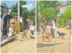 महिला के साथ प्रैंक करना पड़ा भारी, कुत्ते ने काट कर होश किए ढीले