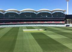Adelaide Oval Ground: एडिलेड ओवल मैदान पर ऑस्ट्रेलिया का रहा है दबदबा, जानें पिच रिपोर्ट से लेकर शेड्यूल तक सभी कुछ
