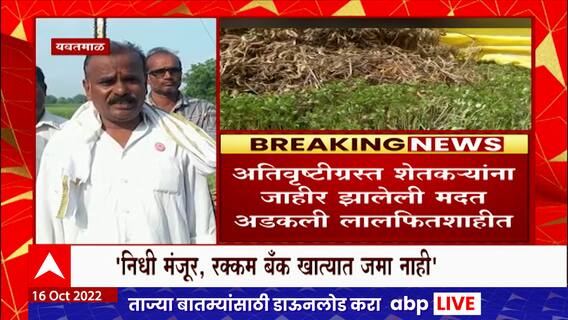 Yavatmal Farmers : निधी मंजूर पण रक्कम बँकेत जमा नाही, यवतमाळ शेतकऱ्यांचा आरोप ABP Majha