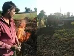 राजस्थान: बारां में बारिश से बर्बाद हुई सोयाबीन की फसल, खर्च नहीं निकलने पर किसान कर रहे आग के हवाले