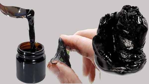 Shilajit For Women: Not only men, women also eat Shilajit, you will be surprised to know the benefits. Shilajit For Women : ਸਿਰਫ ਮਰਦ ਹੀ ਨਹੀਂ ਔਰਤਾਂ ਵੀ ਖਾਂਦੀਆਂ ਨੇ ਸ਼ਿਲਾਜੀਤ, ਫਾਇਦੇ ਜਾਣ ਕੇ ਹੋ ਜਾਵੋਗੇ ਹੈਰਾਨ