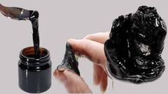 Shilajit For Women : ਸਿਰਫ ਮਰਦ ਹੀ ਨਹੀਂ ਔਰਤਾਂ ਵੀ ਖਾਂਦੀਆਂ ਨੇ ਸ਼ਿਲਾਜੀਤ, ਫਾਇਦੇ ਜਾਣ ਕੇ ਹੋ ਜਾਵੋਗੇ ਹੈਰਾਨ