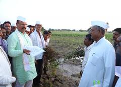 Aurangabad: परतीच्या पावसाने मोठ्याप्रमाणावर नुकसान, कृषीमंत्री पोहचले बांधावर