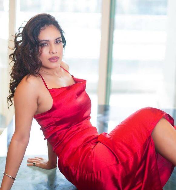 નેહા મલિક (Neha Malik) ભલે ફિલ્મોમાં કોઈ ખાસ કમાલ નથી બતાવી શકી. પરંતુ મોડલિંગની દૂનિયામાં તેનું એક મોટું નામ છે.