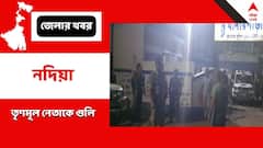 গ্রামে ফিরতেই তৃণমূল নেতাকে গুলি ! নদিয়ার থানারপাড়ার ঘটনায় গ্রেফতার ৯