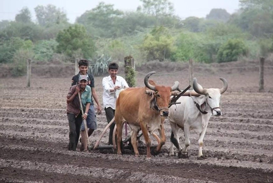 Natural Farming: ગુજરાતમાં કેટલા ખેડૂતો કરી રહ્યા છે પ્રાકૃતિક ખેતી, ત્રણ માસમાં કેટલા ખેડૂતનો કરાયા તાલીમબદ્ધ, જાણો