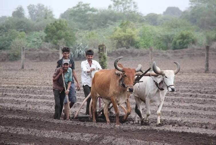 PM Kisan Scheme: Over 51 lakh beneficiary farmers of Gujarat gets 12th installment of PM Kisan Samaan Nidhi ahead of Diwali PM Kisan Scheme: દિવાળી પહેલા ગુજરાતના 51 લાખ ખેડૂતોને વડાપ્રધાન મોદી આપશે ભેટ, લાભાર્થીના ખાતામાં જમા થશે 12મો હપ્તો