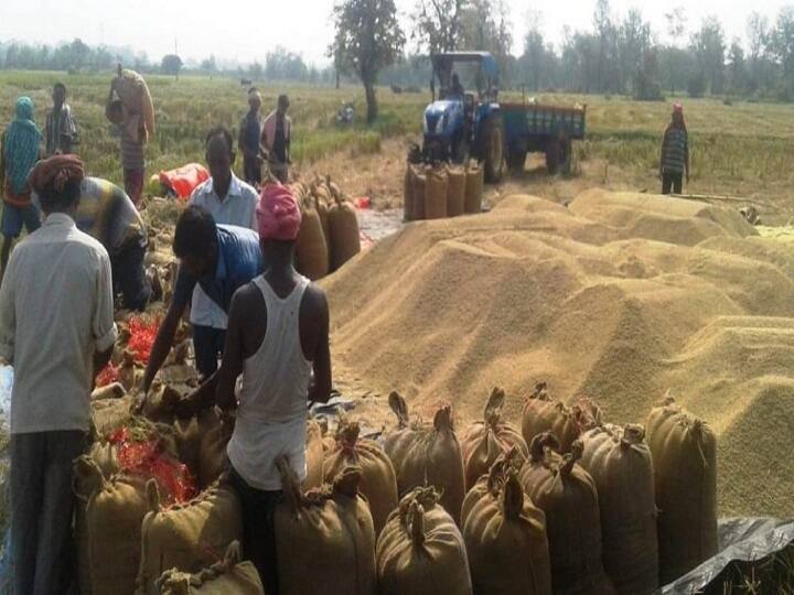 45 lakh metric tonnes of paddy will be procured in Bihar Paddy Purchase: बिहार में इस बार इस चावल की खरीद पर जोर, 45 लाख मीट्रिक टन होगी खरीद