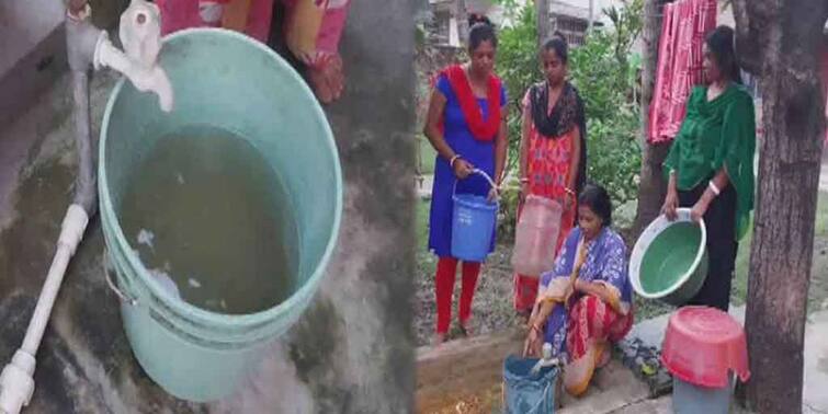 North 24 Paragana : People of ward 13 of Madhyamgram Municipality are in water crisis Madhyamgram Municipality : 'পাইপ ফেটে বিপত্তি', পানীয় জলের সঙ্গে মিশছে নর্দমার নোংরা; সঙ্কটে মধ্যমগ্রামের ১৩ নম্বর ওয়ার্ডের বাসিন্দারা