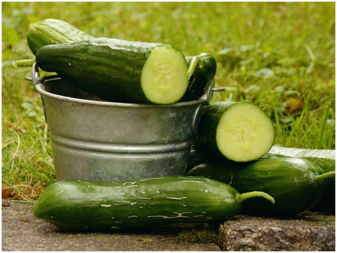 Eating Too Much Cucumber Can Cause These Side Effects Cucumber