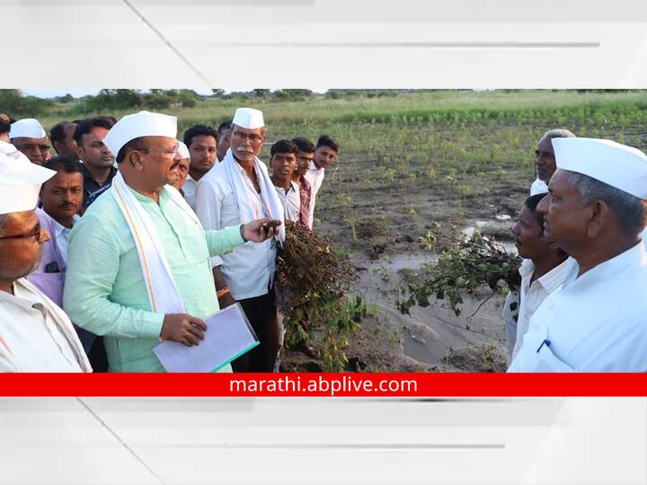 Aurangabad News: आधीच अतिवृष्टीमुळे शेतकरी हैराण झाला असताना आता परतीच्या पावसामुळे मोठ्याप्रमाणावर नुकसान झाले आहे.