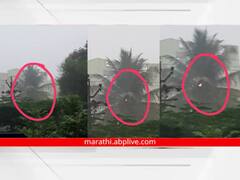 Kolhapur Heavy Rain : कोल्हापूरमध्ये प्रलयकारी पावसाचा प्रकोप सुरुच; जिल्हाधिकारी कार्यालयाजवळ वीज कोसळली