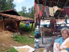 In Pics: राष्ट्रपति के दत्तक पुत्र 'पहाड़ी कोरवा' के दो परिवार जंगल में झोपड़ी बनाकर रहने को मजबूर, देखें तस्वीरें