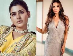 Celebs Blamed For Divorce: મલાઇકાથી લઇને સમાંથા સુધી, આ સેલેબ્સને ડિવોર્સ બાદ લોકોના ગુસ્સાનો કરવો પડ્યો હતો સામનો