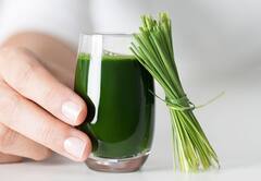 Wheat Grass Benefits : ਵ੍ਹੀਟ ਗ੍ਰਾਸ ਦਾ ਜੂਸ ਪੀਣ ਦੇ ਫਾਇਦੇ ਜਾਣ ਕੇ ਹੋ ਜਾਓਗੇ ਹੈਰਾਨ