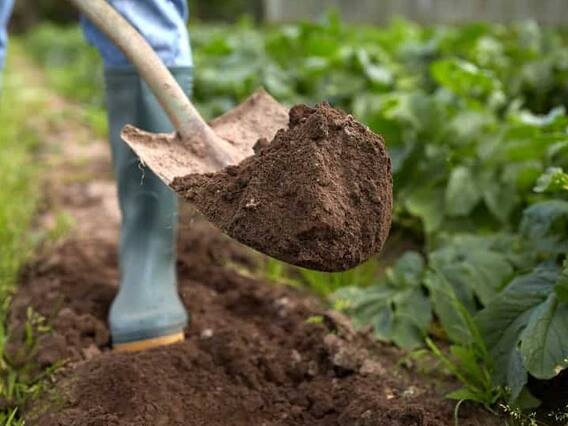 Ahoi Ashtami 2022: अहोई अष्टमी पर आज महिलाएं गलती भी न करें 5 काम, संतान पर पड़ेगा गहरा असर