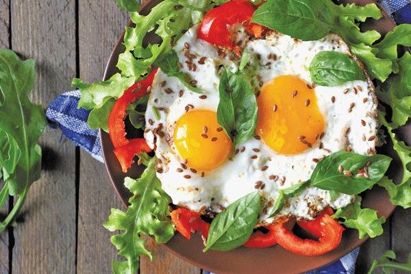 ਇਸ ਨਾਲ ਲੰਬੇ ਸਮੇਂ ਤਕ ਭੁੱਖ ਨਹੀਂ ਲੱਗਦੀ। ਕਈ ਖੋਜਾਂ ਵਿੱਚ ਇਹ ਕਿਹਾ ਗਿਆ ਹੈ ਕਿ ਇੱਕ ਸਿਹਤਮੰਦ ਵਿਅਕਤੀ ਨੂੰ ਰੋਜ਼ਾਨਾ 2 ਆਂਡੇ ਖਾਣੇ ਚਾਹੀਦੇ ਹਨ।