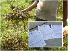 Nanded: नुकसानीचे पंचनामे करण्यासाठी पीक विमा कंपनीकडून शेतकऱ्यांकडे पैशाची मागणी; धक्कादायक आरोप