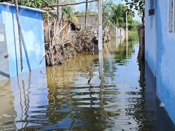 மீன் வலையில் சிக்கிய  10 அடி நீள கோதுமை நாகம் - மீனவர்கள் அதிர்ச்சி