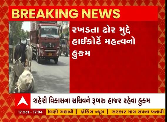 રખડતા ઢોર મુદ્દે હાઇકોર્ટે કર્યો મહત્વનો હુકમ, જુઓ વીડિયો