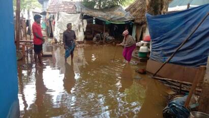 Trichy: Residential areas were flooded in Trichy district TNN திருச்சி: துறையூரில் குடியிருப்பு பகுதிகளை சூழ்ந்த வெள்ளம் - பொதுமக்கள் அவதி