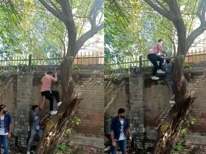 Men 'Climb' Walls Of All-Women Miranda House, Students Allege 'Catcalling, Sexist Sloganeering'. Videos Surface Men Climb Walls Of All-Women Miranda House College During Fest, Students Allege Harassment. FIR Lodged