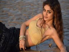 बिग बॉस के घर से बाहर आते ही श्रीजिता डे ने इस कंटेस्टेंट को बताया फेक, बोलीं- करता है नाटक