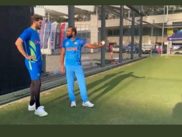 T20 World Cup India vs Australia Highlights Shaheen Afridi Chat With Mohammed Shami Viral Video 'Aap Ki Wrist Position Aur Seam Ka Jawab Nahi...': Shaheen's Heart-Warming Chat With Shami Goes Viral - WATCH
