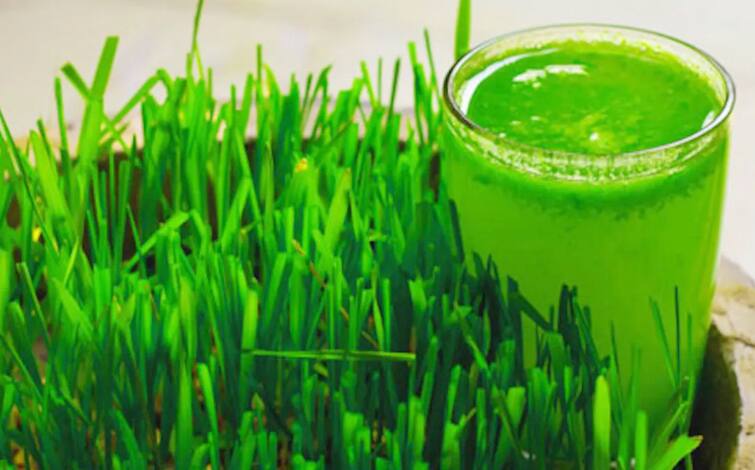 Wheat Grass Benefits: Do you know the benefits of drinking wheat grass juice! Proven panacea for many diseases Wheat Grass Benefits : ਕੀ ਤੁਸੀਂ ਜਾਣਦੇ ਹੋ ਵ੍ਹੀਟ ਗ੍ਰਾਸ ਦਾ ਜੂਸ ਪੀਣ ਦੇ ਫਾਇਦੇ ! ਕਈ ਬਿਮਾਰੀਆਂ ਲਈ ਰਾਮਬਾਣ ਸਾਬਤ