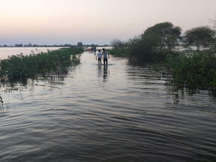 Mandsaur Madhya Pradesh 5 women drowned in Chambal river three bodies recovered rescue operation ANN Mandsaur News: मंदसौर में बड़ा हादसा, चंबल नदी में पांच महिलाएं डूबीं, तीन के शव बरामद