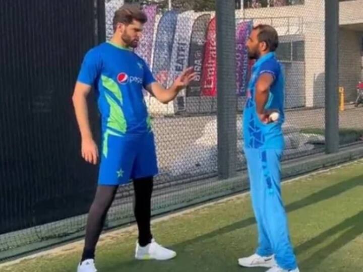 Pakistan Fast Bowler Shaheen Afridi heart-warming chat with Mohammed Shami goes viral on social media Watch: 'जब से बॉलिंग स्टार्ट करी है, आपको फॉलो कर रहा हूं', मोहम्मद शमी से बोले शाहीन अफरीदी; वीडियो वायरल