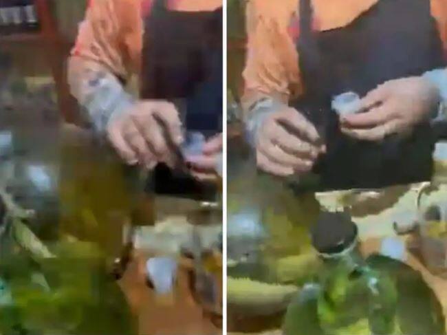 people were seen drinking wine kept with snake in a glass bottle ਅਜੀਬ ਦੁਨੀਆ ! ਬੋਤਲ ਵਿੱਚ ਸੱਪ ਨਾਲ ਪਈ ਸ਼ਰਾਬ ਪੀਂਦੇ ਨੇ ਲੋਕ, ਵੇਖੋ ਵੀਡੀਓ