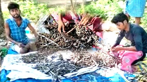 Siddipet Youngsters : సిద్ధిపేట జిల్లాలో ఆసక్తి రేపుతున్న యువకుల వృత్తి